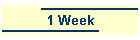 1 Week