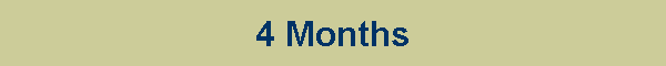 4 Months