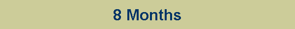 8 Months