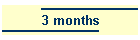 3 months