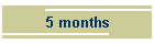 5 months