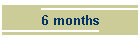 6 months