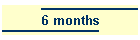 6 months