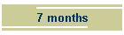 7 months