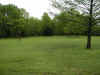 backyard3.jpg (67398 bytes)