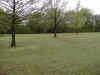 backyard4.jpg (70553 bytes)