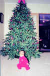 xmas-2.jpg (58045 bytes)